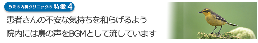 患者さまの不安な気持ちを和らげるよう院内には鳥の声をBGMとして流しています